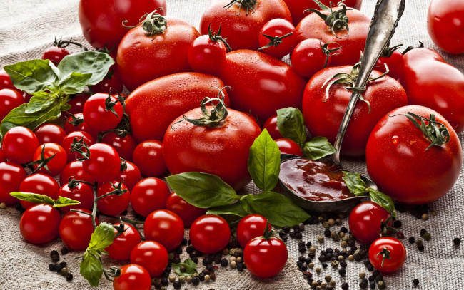 Обои картинки фото еда, помидоры, томаты, ассорти