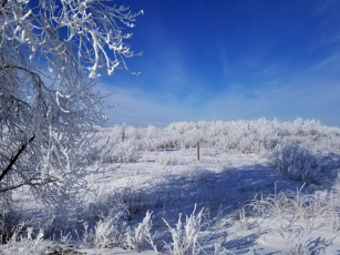 Картинка природа зима сугробы снег