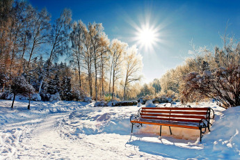 обоя природа, парк, деревья, лес, солнце, зима, снег, скамейка, дорога