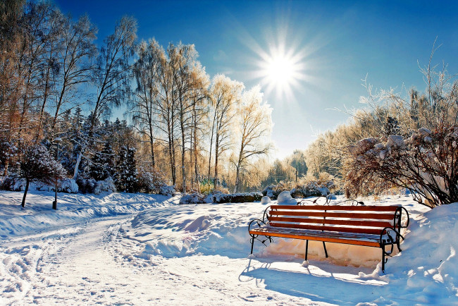 Обои картинки фото природа, парк, деревья, лес, солнце, зима, снег, скамейка, дорога
