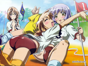 Картинка аниме yumeria