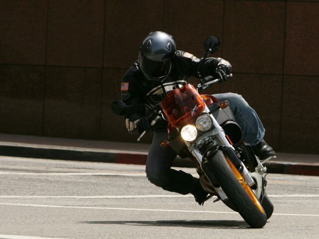 Обои картинки фото мотоциклы, buell