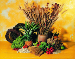 Картинка еда натюрморт