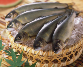 Картинка еда рыба морепродукты суши роллы