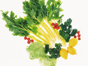 Картинка еда овощи