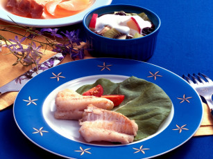 Картинка еда салаты закуски