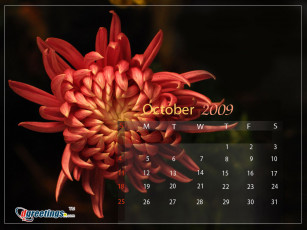 Картинка календари цветы