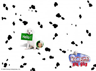 Картинка мультфильмы 102 dalmatians