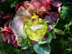 Картинка разное косметика духи