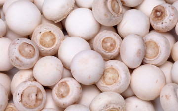 Картинка еда грибы грибные блюда