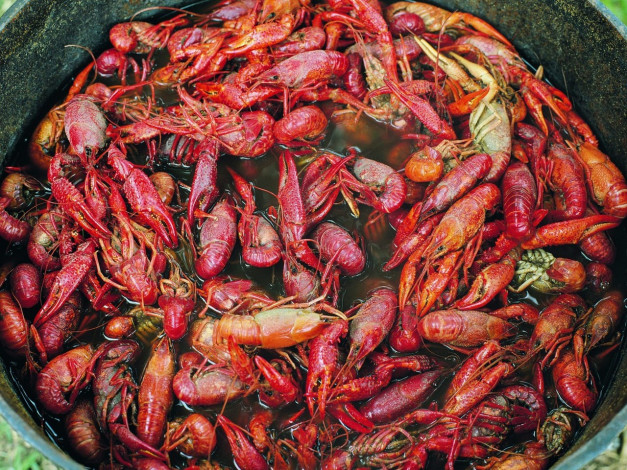 Обои картинки фото еда, рыба, морепродукты, суши, роллы