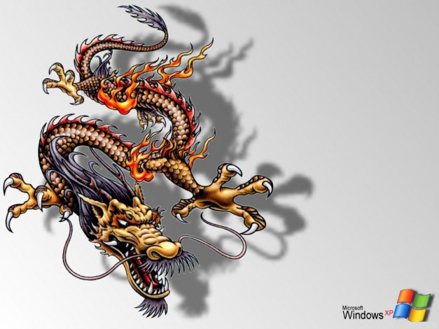 Обои картинки фото компьютеры, windows, xp