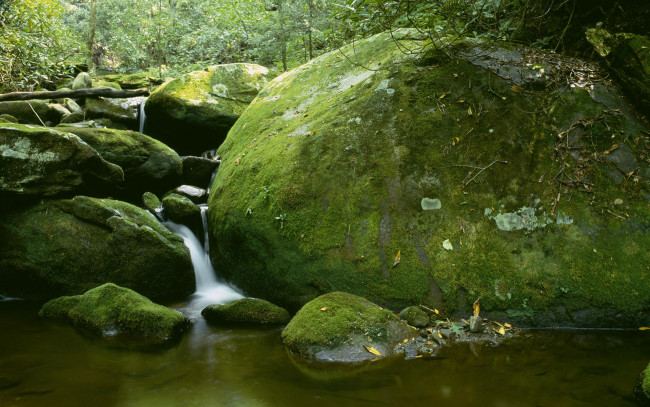 Обои картинки фото природа