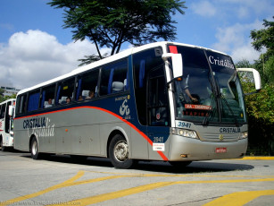 Картинка автомобили автобусы