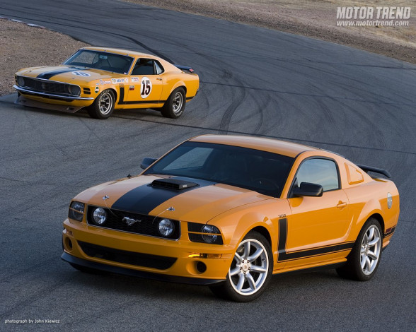 Обои картинки фото автомобили, mustang