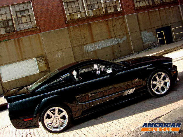 Обои картинки фото автомобили, mustang