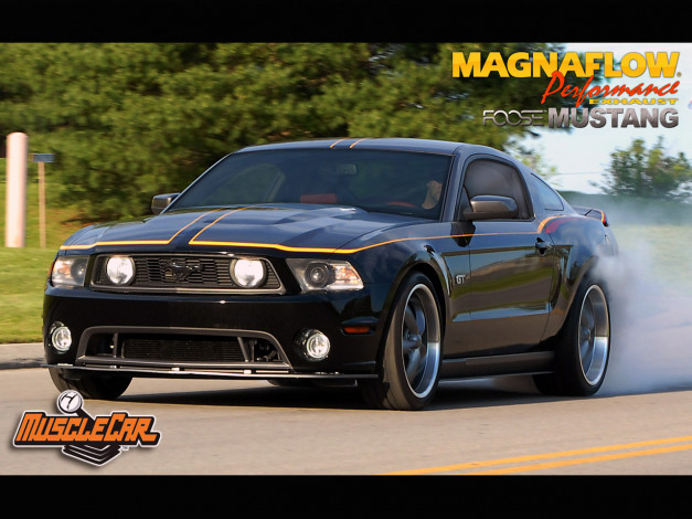 Обои картинки фото автомобили, mustang