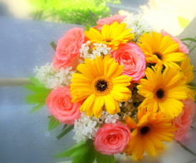 Картинка цветы букеты композиции розы герберы