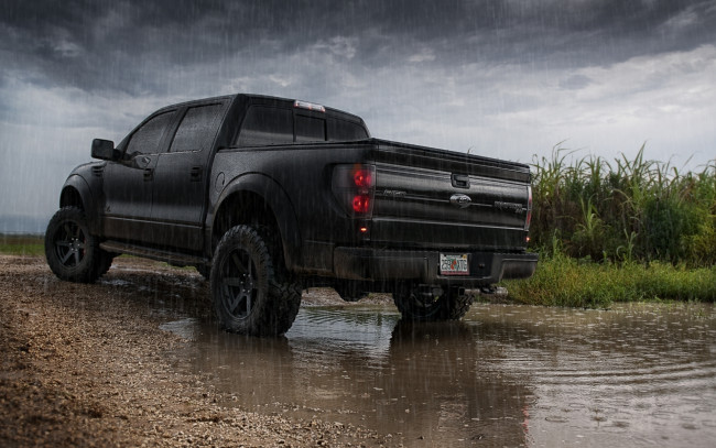 Обои картинки фото автомобили, ford, авто