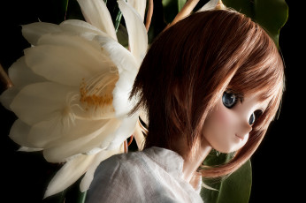 Картинка разное игрушки игрушка кукла