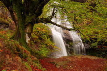 Картинка uguna+waterfall +gorbea+natural+park +bizkaia +spain природа водопады uguna waterfall водопад spain дерево gorbea natural park испания природный парк горбеа бискайя bizkaia