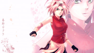 Картинка аниме naruto haruno sakura