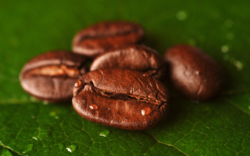 Картинка еда кофе +кофейные+зёрна листик