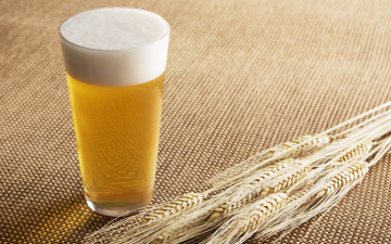 Картинка еда напитки +пиво солод пиво