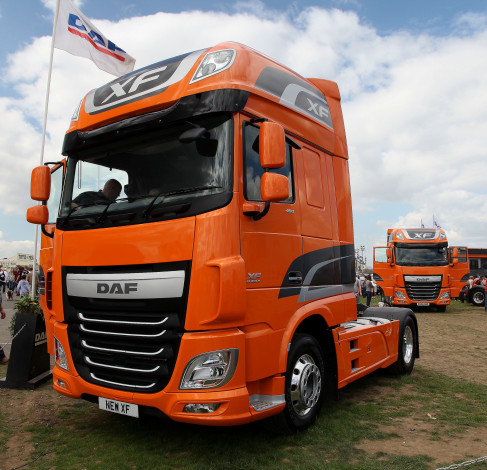 Обои картинки фото daf, автомобили, седельные, тягачи, trucks, nv, нидерланды, автобусы, шасси