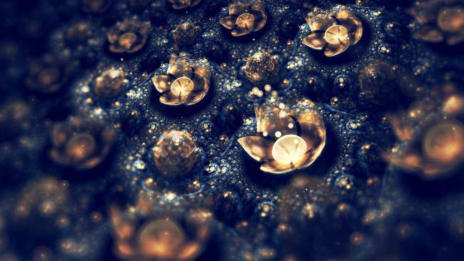 Обои картинки фото разное, компьютерный дизайн, неон, фокус, цветы