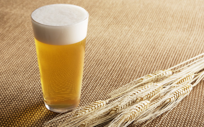 Обои картинки фото еда, напитки,  пиво, солод, пиво