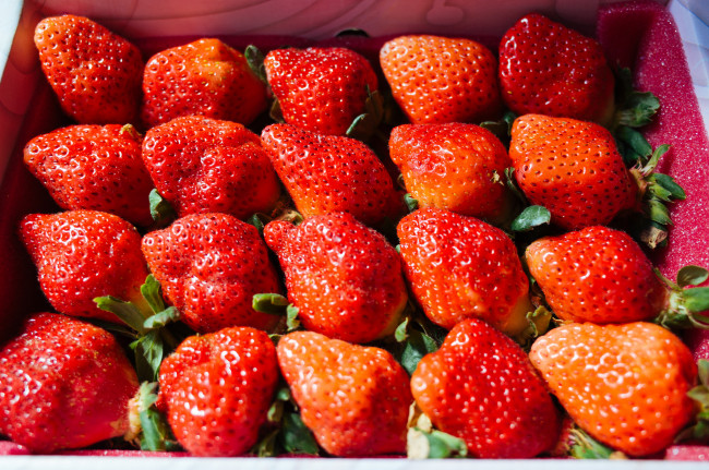 Обои картинки фото еда, клубника,  земляника