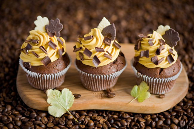 Обои картинки фото еда, пирожные,  кексы,  печенье, кексы, шоколадные