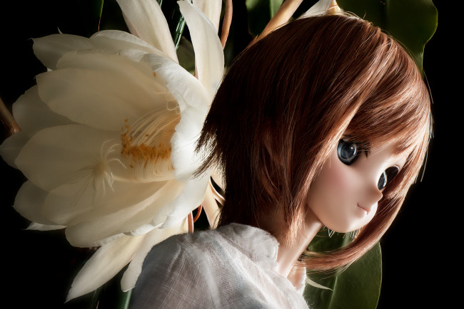 Обои картинки фото разное, игрушки, игрушка, кукла