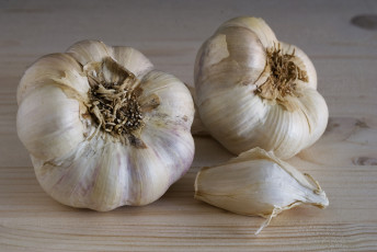 Картинка еда Чеснок чеснок