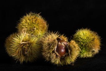 Картинка еда орехи +каштаны +какао-бобы колючки каштаны