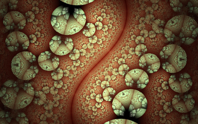 Обои картинки фото 3д графика, фракталы , fractal, цвета, фон, узор