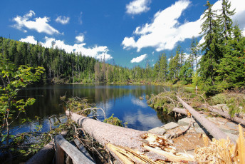 Картинка природа реки озера река лес