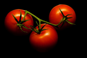 Картинка еда помидоры томаты