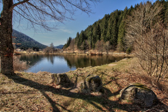 Картинка природа реки озера река лес