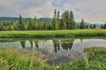 Картинка природа реки озера река лес