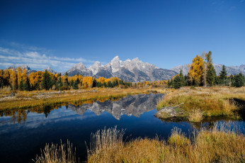 Картинка природа реки озера река лес