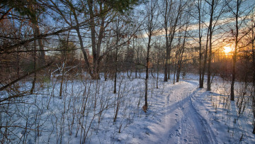 Картинка природа зима снег