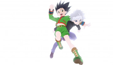 Картинка аниме hunter+x+hunter киллуа гон