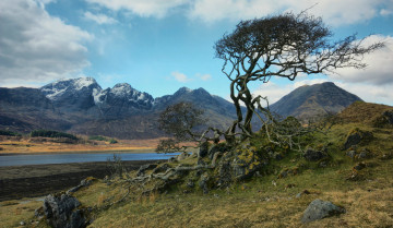 Картинка природа реки озера река лес