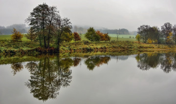 Картинка природа реки озера река лес