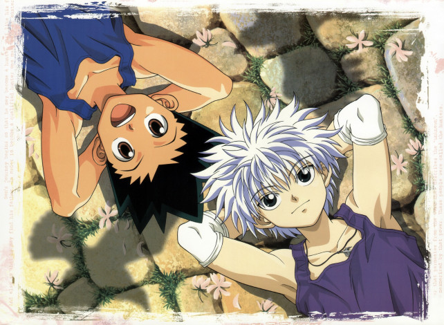 Обои картинки фото аниме, hunter x hunter, гон, фрикс, киллуа, золдик