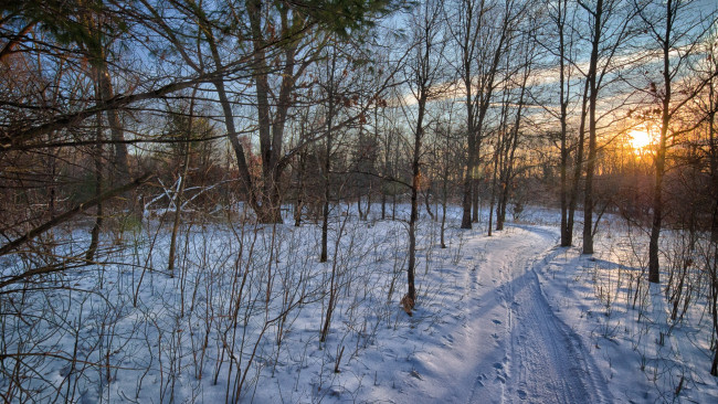 Обои картинки фото природа, зима, снег