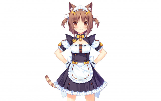 Обои картинки фото аниме, nekopara, девушка, взгляд, фон