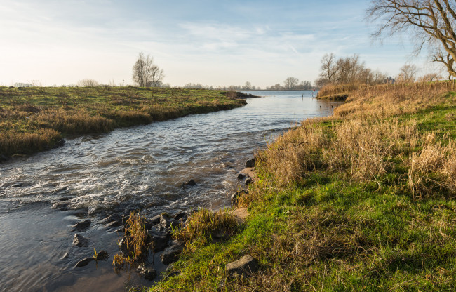 Обои картинки фото природа, реки, озера, река, лес